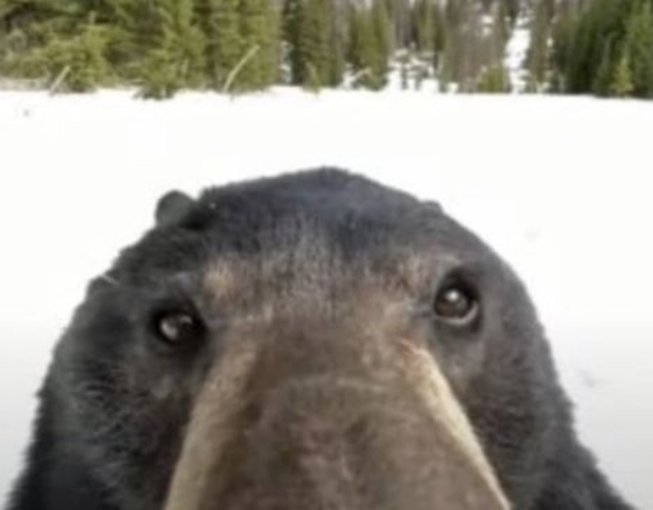 ronron!! shtwt ☆ edtwt tweet media