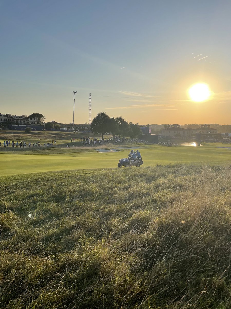 Shelly Sansome tweet media