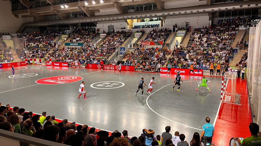 JPC8690's tweet photo. Un año más apoyando a este equipazo. Gane o pierda. Siempre 💪💚

@PalmaFutsal 
@Coent_ES 

📸 @JuanMassanet https://t.co/WfRhGL2IzA