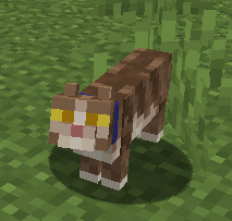 Aliensect_ tweet media