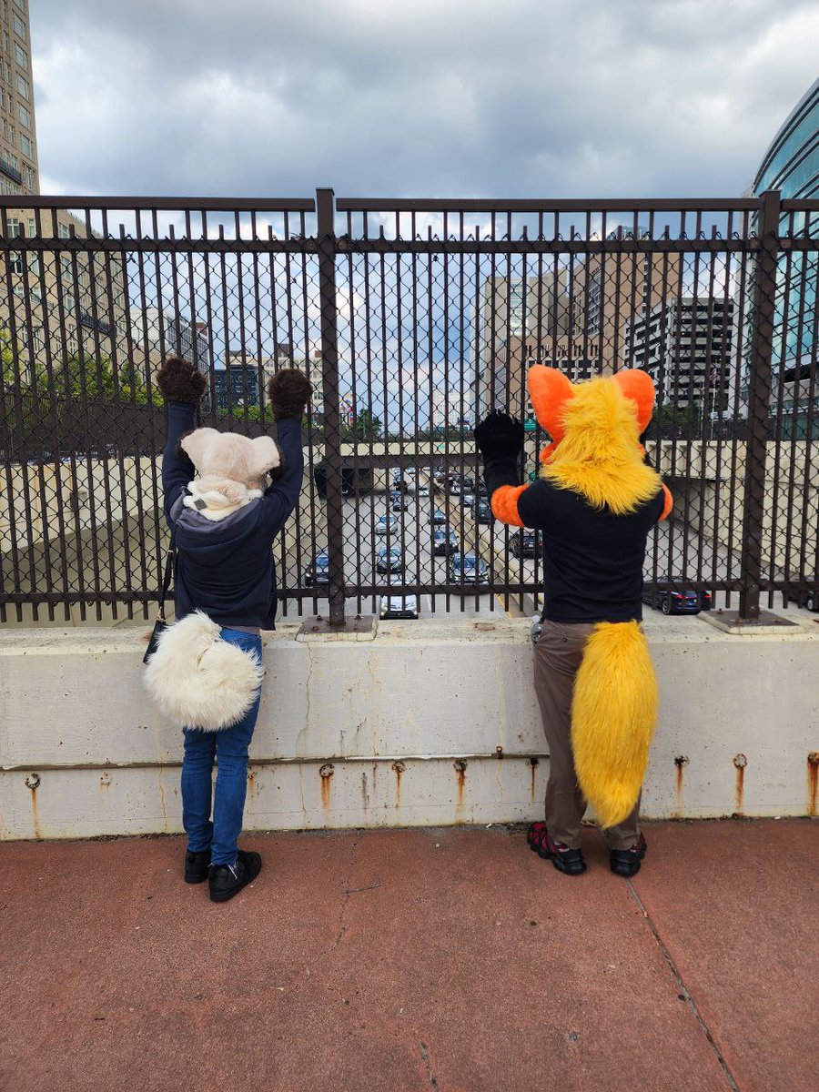 Fyre_Flareon's tweet photo. !Honk if you like fluffy tails!

Looking over the I-676 overpass this #FursuitFriday while running around downtown Philadelphia during Furrydelphia with my good boy buddy @RockruffChake ! https://t.co/DnauX45yrn