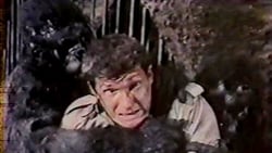 SemetraRhodes's tweet image. #Horror Released Sept. 29 - 55th Anniversary: KONG ISLAND (Eva, la Venere selvaggia aka King of Kong Island) [Italy, 1968, wide] Dir: Roberto Mauri (as Robert Morris), who co-wrote the script. Stars Brad Harris &amp;amp; Esmeralda Barros.

#HorrorAnniversary #KongIsland #ItalianHorror
