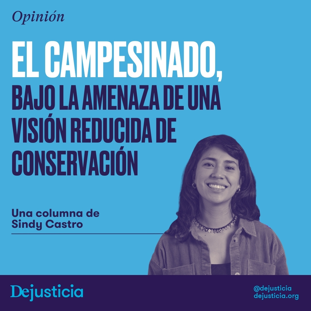 Dejusticia tweet picture