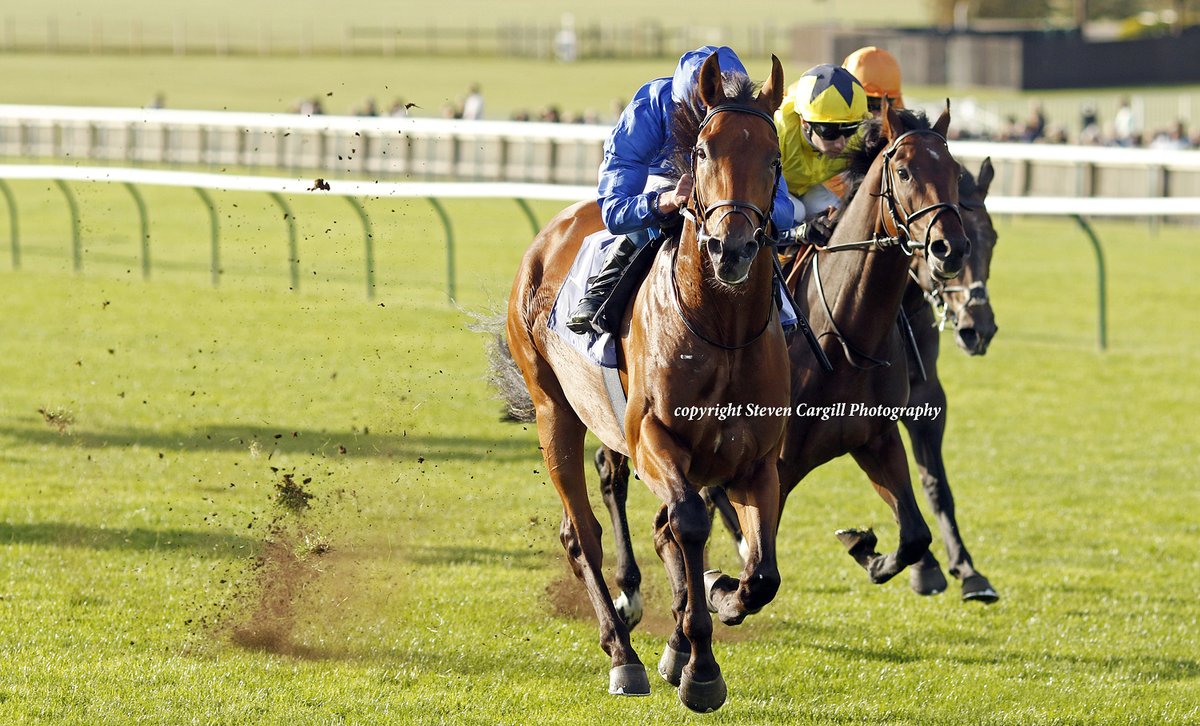 Steven_Cargill's tweet photo. Now 221, colt BROADWAY ACT wins 7f 2yo maiden @NewmarketRace today for @DarleyEurope Too Darn Hot @godolphin https://t.co/cK9U4LcWAp