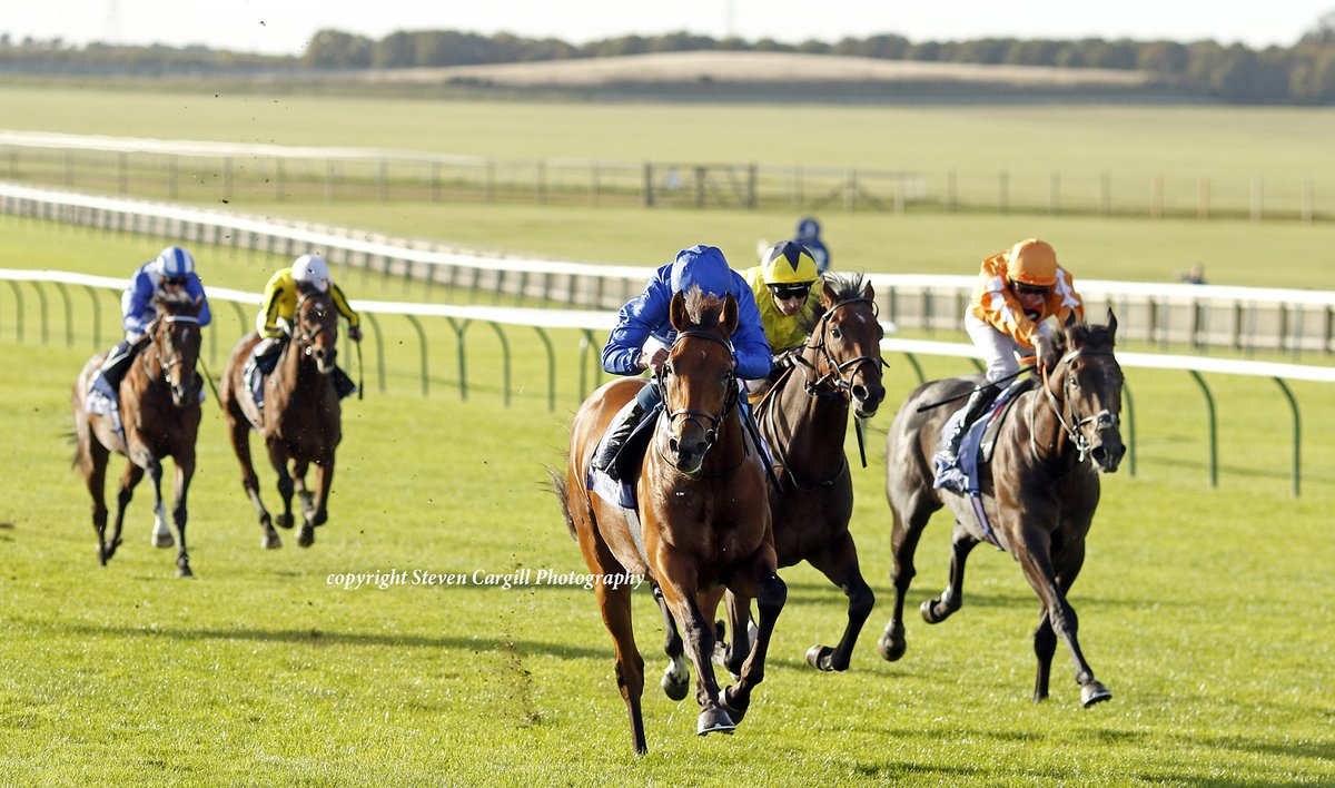 Steven_Cargill's tweet photo. Now 221, colt BROADWAY ACT wins 7f 2yo maiden @NewmarketRace today for @DarleyEurope Too Darn Hot @godolphin https://t.co/cK9U4LcWAp