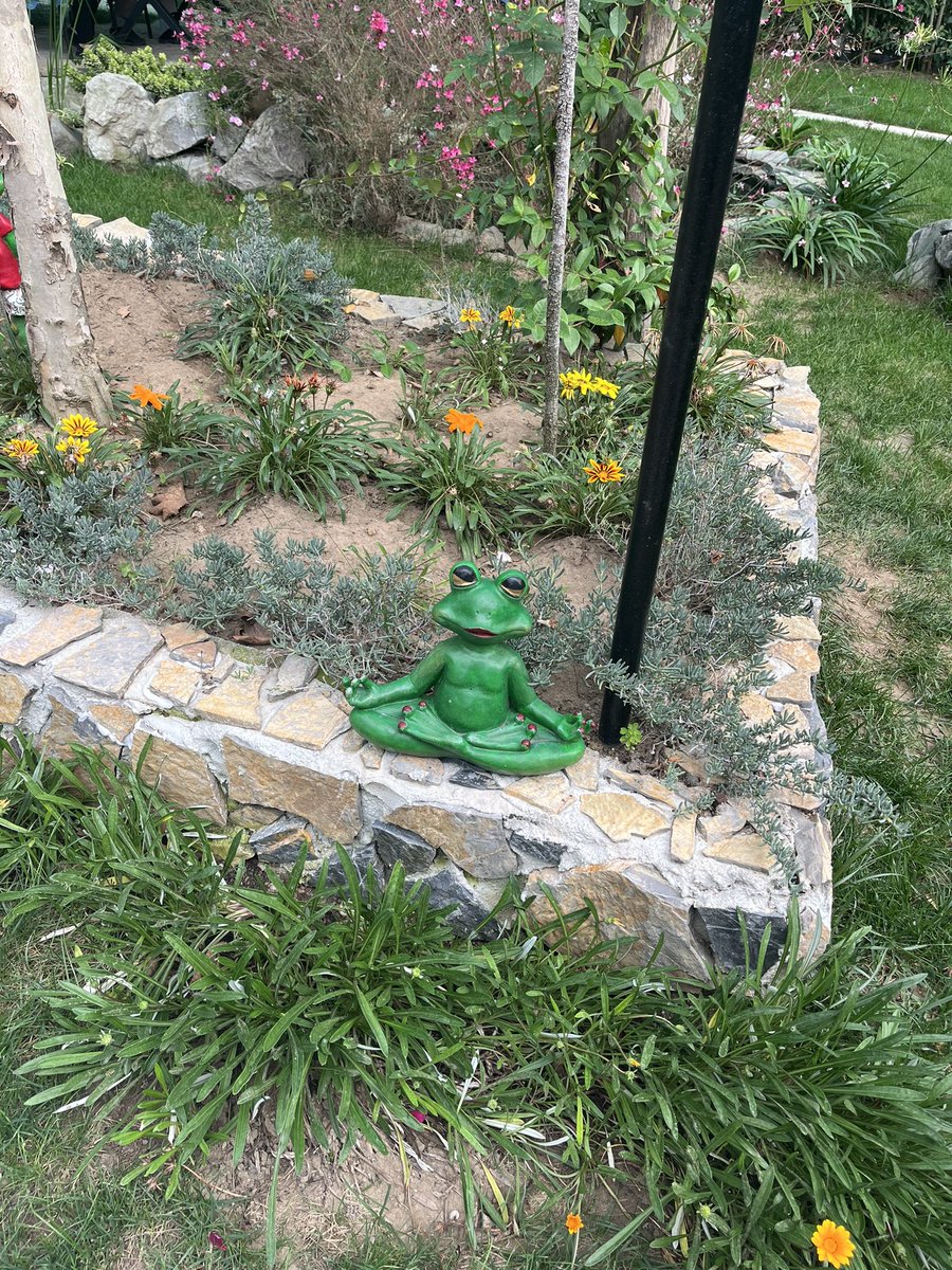 Ben bu kişi olduğumu düşünüyor ve inanıyorum