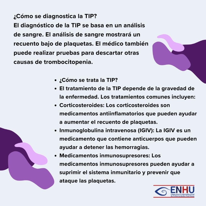 EHuerfanasCo's tweet photo. Hoy en el  Día Mundial de la Trombocitopenia Inmune Primaria ( #TIP ) creemos conciencia sobre esta rara enfermedad hematológica que afecta a la producción de plaquetas. 

#DíaMundialTIP #Salud #Concienciación #Enhu #TratamientoTIP