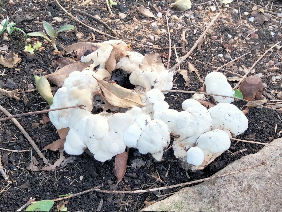 Annabel Spinks-Jones 💬 tweet media