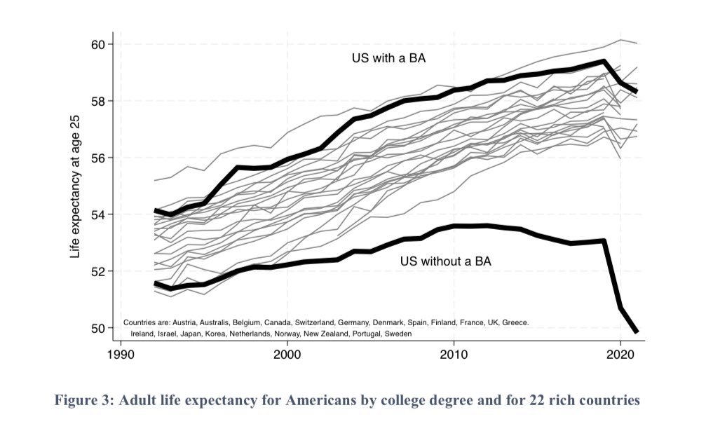 This chart - by Case and Deaton for Brookings - is just the most incredible illustration of the human cost of inequality. It shows that Americans with an undergraduate degree live as long as the Japanese and all citizens on average (with or without degrees) in other rich
