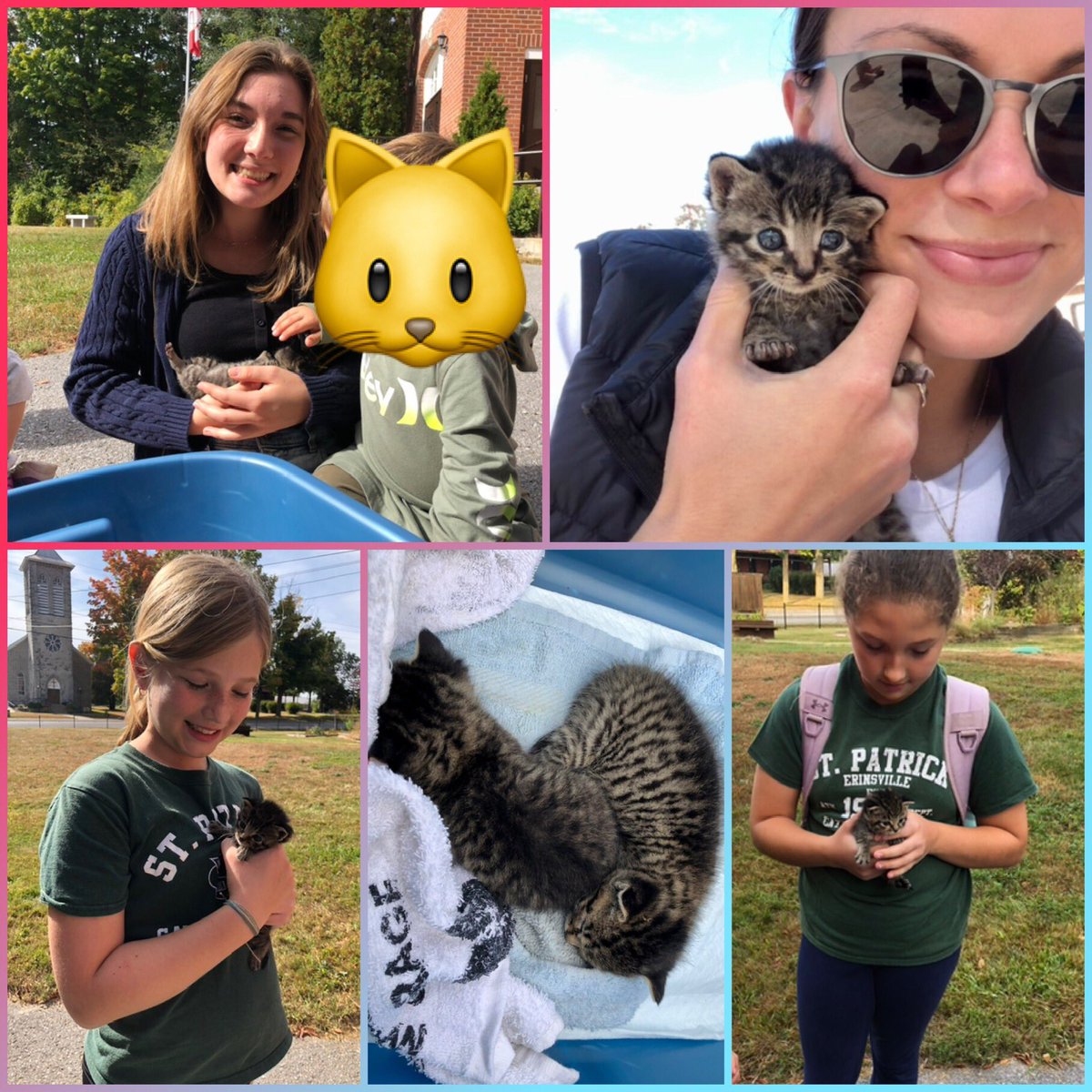 One month of school but by far more than 1 month of blessings. Many new faces this year at @alcdsb_stpe but they have quickly become part of our school family (a few kitties too). We are #BlessedBeyondBelief and ready to tackle October! Check out some of our highlights this month