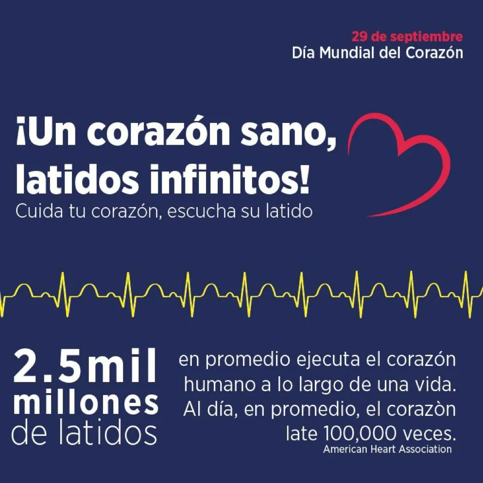 Vice_Ec's tweet photo. La Vicepresidencia de la República articula y coordina políticas de salud para promover estilos de vida más saludables, prevenir enfermedades cardiovasculares y combatir el sedentarismo a través de la actividad física.
 
#DíaMundialDelCorazón 
#NuestroTrabajoContinúa https://t.co/C93mBzqLV4