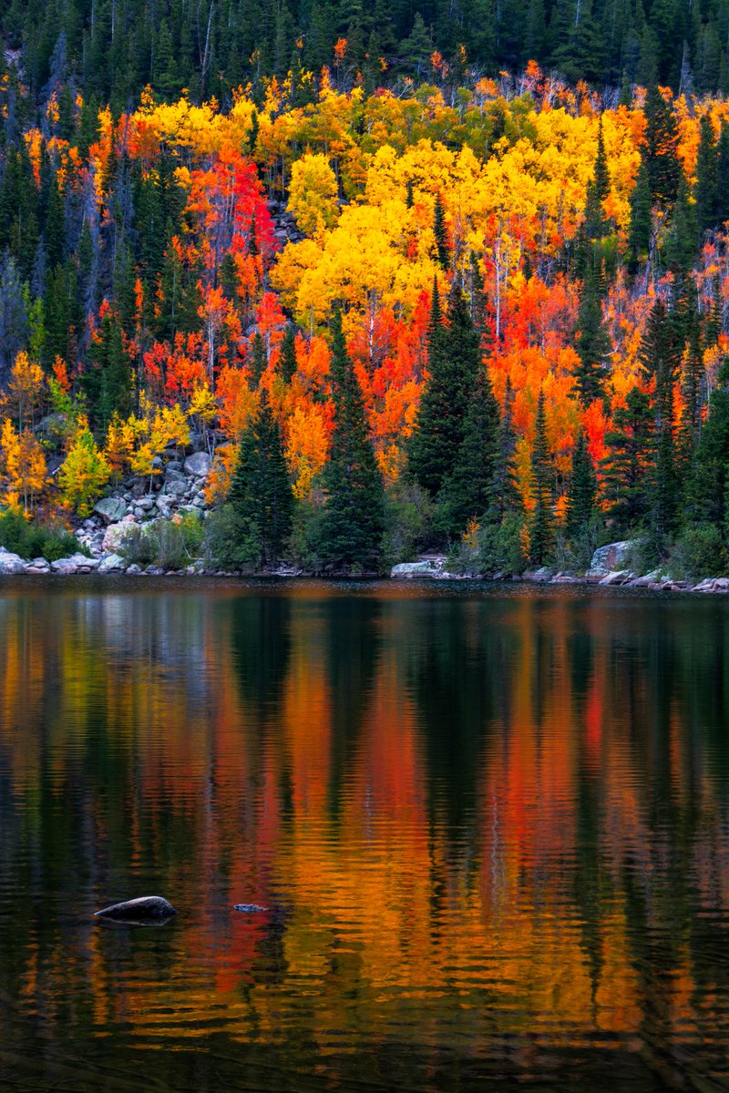 DenverChannel's tweet photo. Fall is in the air 🍂

📸: Bitter Buffalo Photography - Discover Colorado | Through your photos https://t.co/8MFqZ34Mci