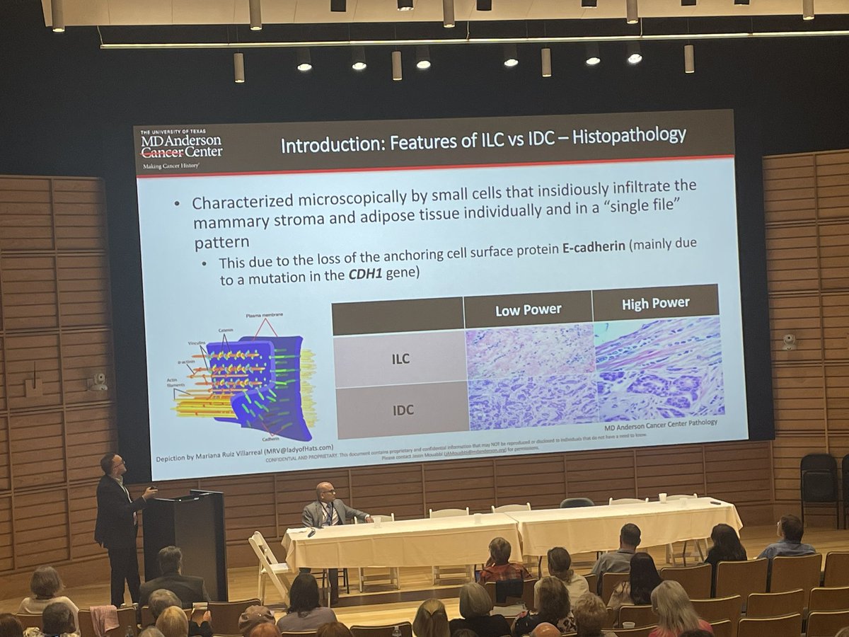 GitteJoergensen's tweet photo. Brilliant presentation by @JAMouabbi highlighting the differences between #lobular and #ductal breast cancer. Did you now lobular doesn’t form a lump due to its lack of a certain protein? 🦞🧬🙌🔥#ILCSymposium #bcsm https://t.co/8bPFOHxhVr