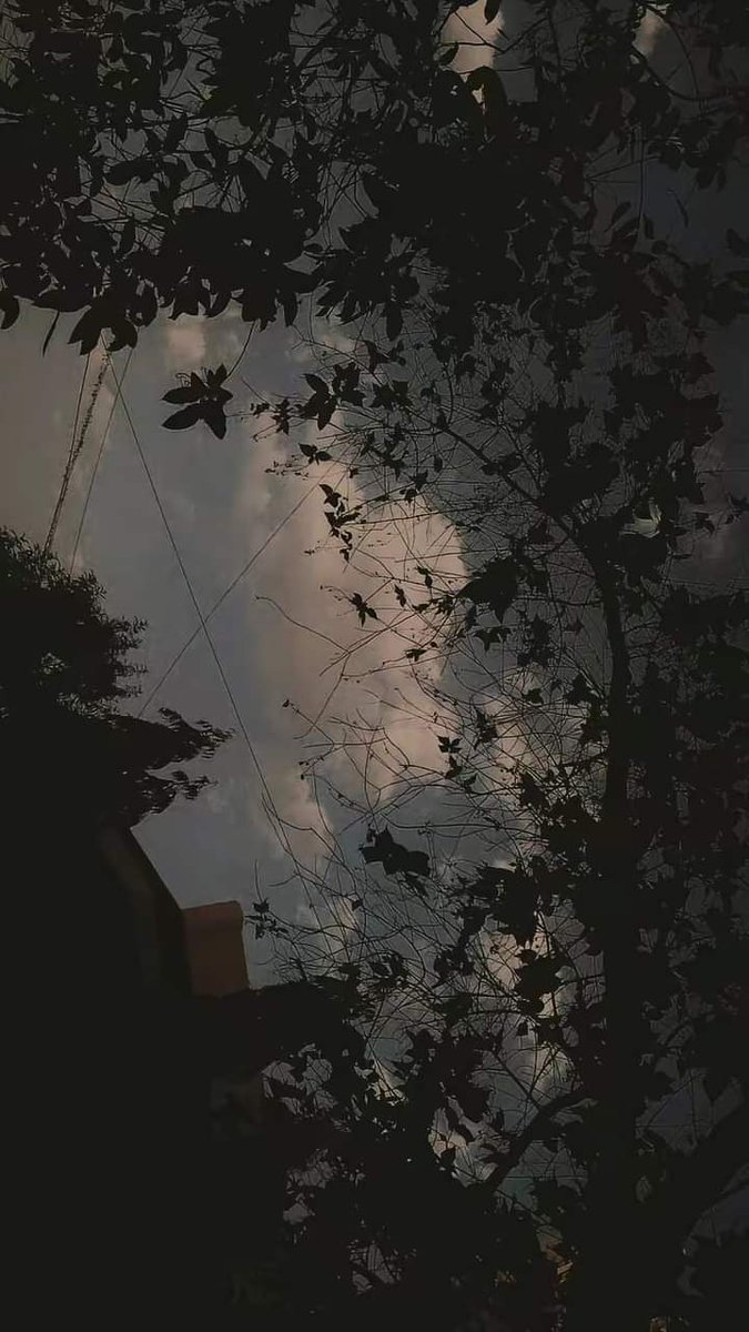 hlaak2000's tweet photo. وقد يكون بلاء المرء في رقته، يقول محمد عبدالحليم عبدالله : 
" كم هو مستريح ذلك الإنسان الذي لا يحس بخفقان قلبه إلا إزاء الكوارث، الكوارث وحدها ، أما الذين تهز قلوبهم هفات النسيم و وسوسة الشجر فإنهم مُعذبون ".🖤 https://t.co/fsbIIURBfk