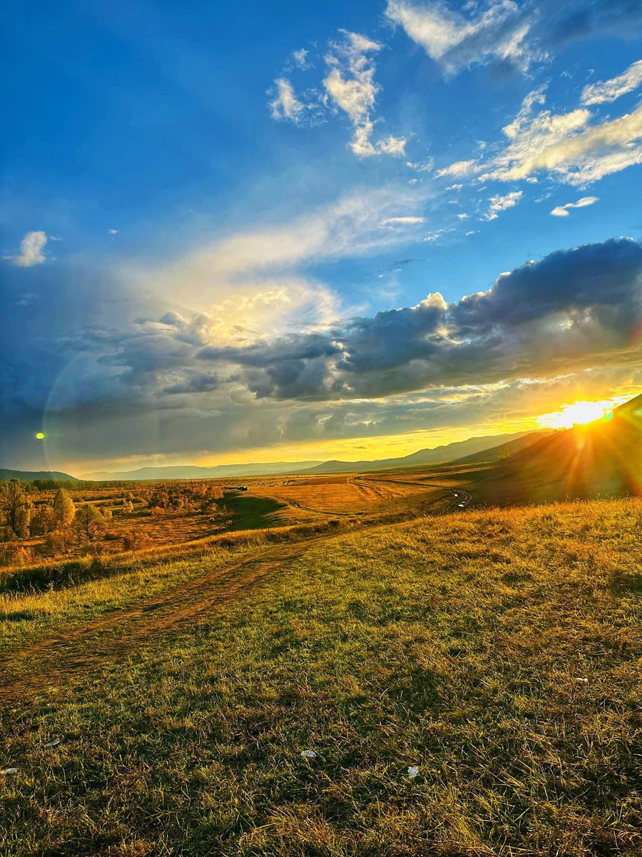 Өглөөний мэнд жиргээ