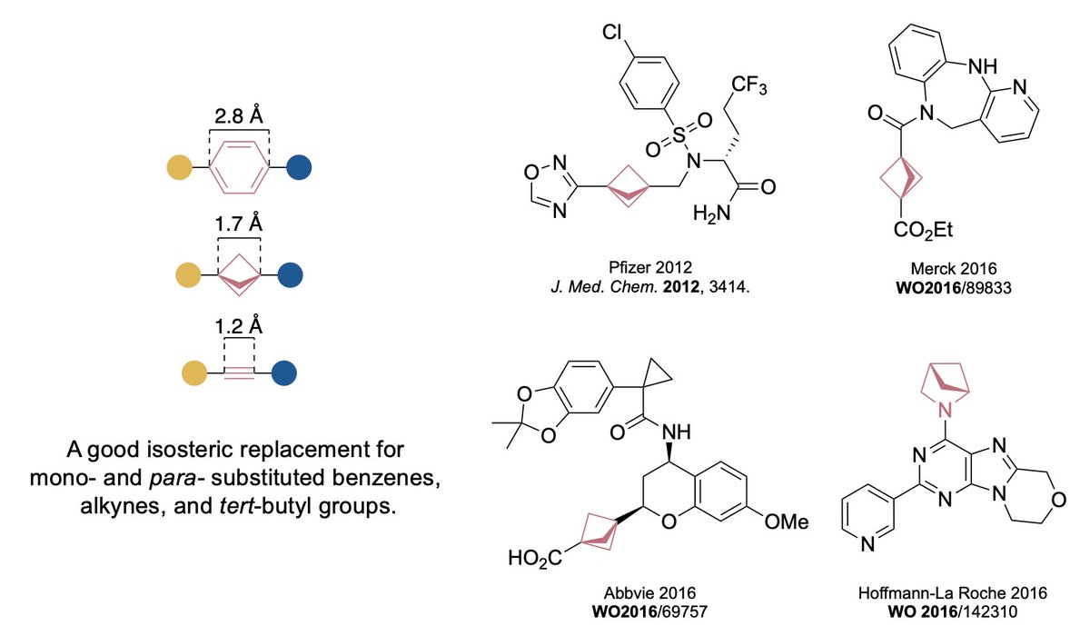 This week on Synthesis Workshop, Isaac Yu shares his work on catalytic borylation of tertiary C–H bonds in BCPs and BCHs @HartwigGroup with @EnamineLtd and @JanssenEMEA!

Episode: youtu.be/Xz9yEr7toQM

@NatureChemistry 2023, 15, 685-693.