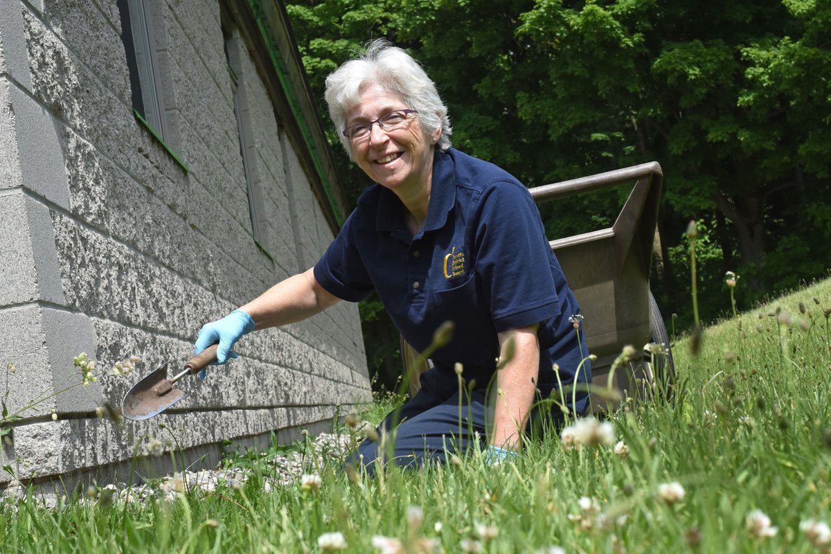 Toronto District School Board tweet media