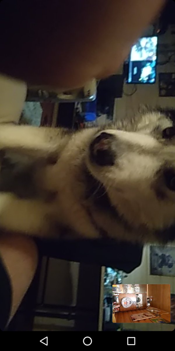 Какой то замечательно-пиздатый день выдался)