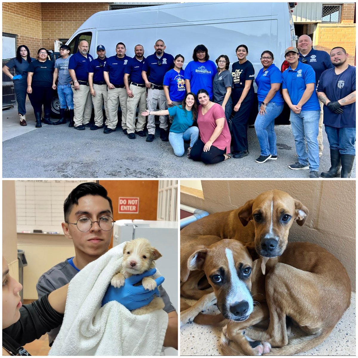 more than 30 dogs &amp; puppies are coming to PCR all the way from Brownsville, TX! The van left this morning &amp; is currently making its way to the DC region. Follow their journey through out the weekend and share with your network. Consider donating to help. Petconnectrescue.org