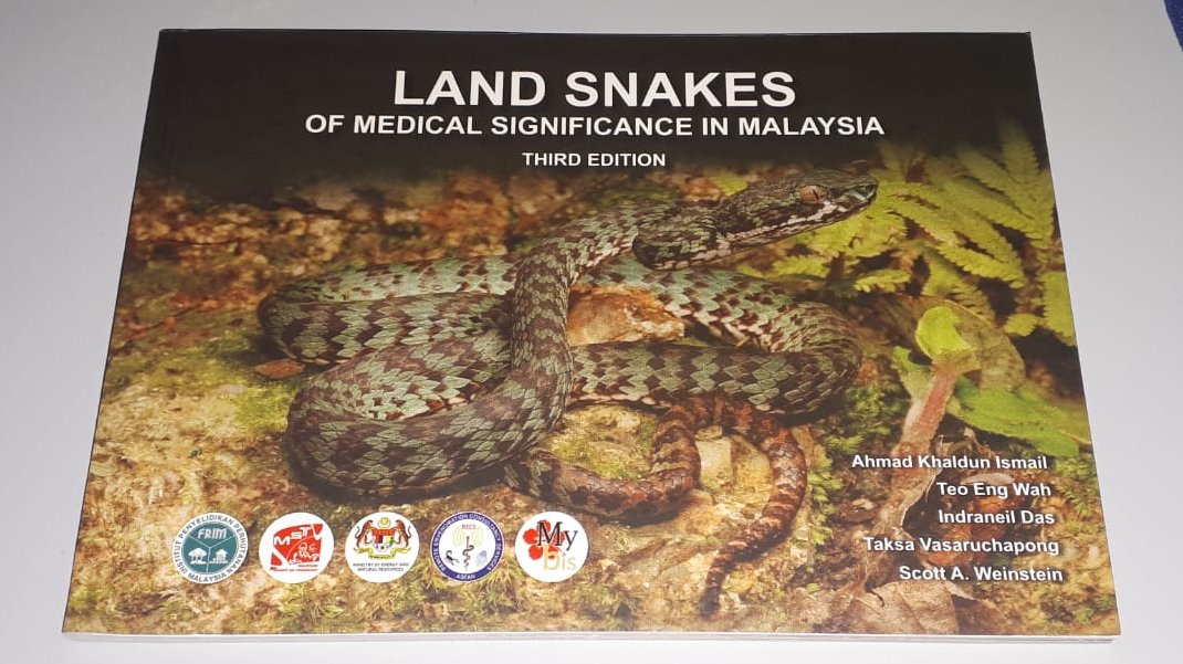 Maik Damm 🐍 tweet media