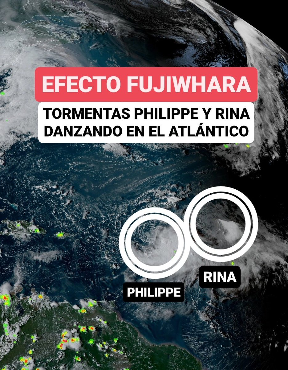 JeanSuriel's tweet photo. 🔴TOMEN NOTA🔴
Las tormentas Philippe y Rina siguen danzando en el Atlántico central, ubicadas a unos 800 kilómetros de distancia, desarrollando la interacción conocida como Efecto Fujiwhara: no es usual ver este tipo de formación en nuestra región oceánica.

🔴Philippe ha ganado intensidad en las últimas horas, con vientos máximos sostenidos de 85 km/h, mientras que Rina mantiene vientos de 75 km/h.

🔴Es muy probable que la Tormenta Rina empiece a debilitarse en las próximas 24 a 48 horas hasta ser una depresión y al inicio de semana próxima convertirse en una baja presión que será absorbida por Philippe.

⚠️Philippe se mueve hacia el oeste-suroeste a 7 km/h y Rina lleva una trayectoria hacia el noroeste a 15 km/h.

➡️Cuando los dos ciclones son fuertes, desarrollan una cierta interacción y luego se empujan hacia rutas separadas.

➡️Cuando tienen intensidad diferente, el más grande debilita al de menor estructura nubosa y lo abserbe en el camino.

☑️ https://t.co/WlQFg167bk 
➡️ @AgendaClimatica 
▶️ https://t.co/OBEFwksFsW