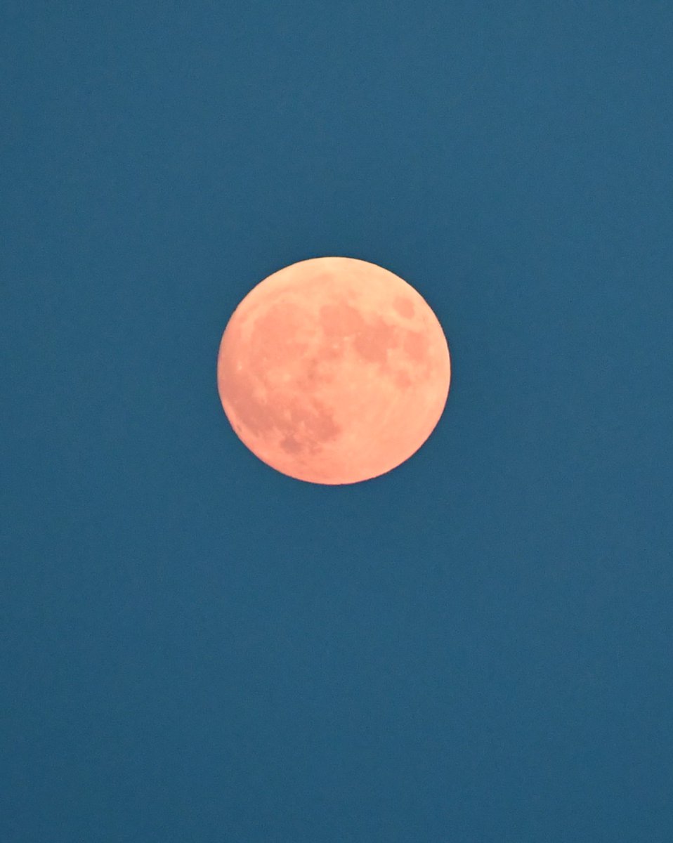 Ghost of the #harvestmoon 
And then - the reveal