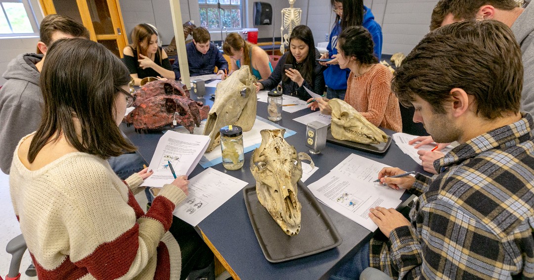 Duke Admissions tweet media