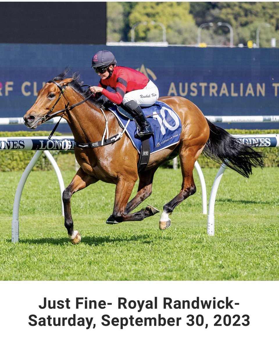 michell66200731's tweet photo. Good luck to all the other owners of 💥💥Just Fine 💥💥today at Royal Randwick . Fingers crossed he blows them away 🚀🚀🚀 https://t.co/jORlpvGFQi