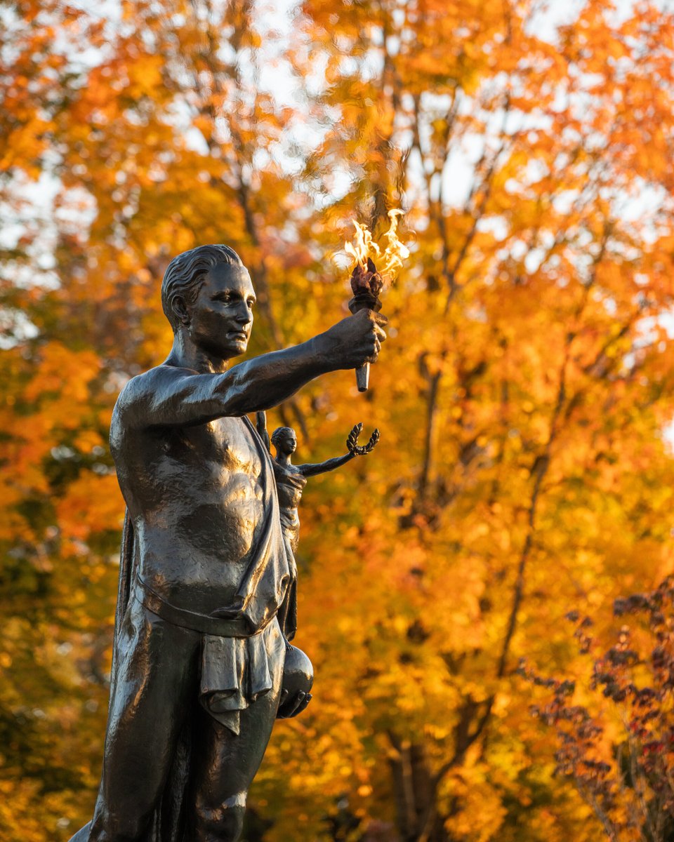 It's the first #BigOrangeFriday of fall! Before we know it, even the campus trees will have school spirit! 🍂

Don't forget to review upcoming #UTK28 deadlines: 
🗓 November 1: Early Action Admission Application Deadline
🗓 November 15: Early Action Completion Deadline