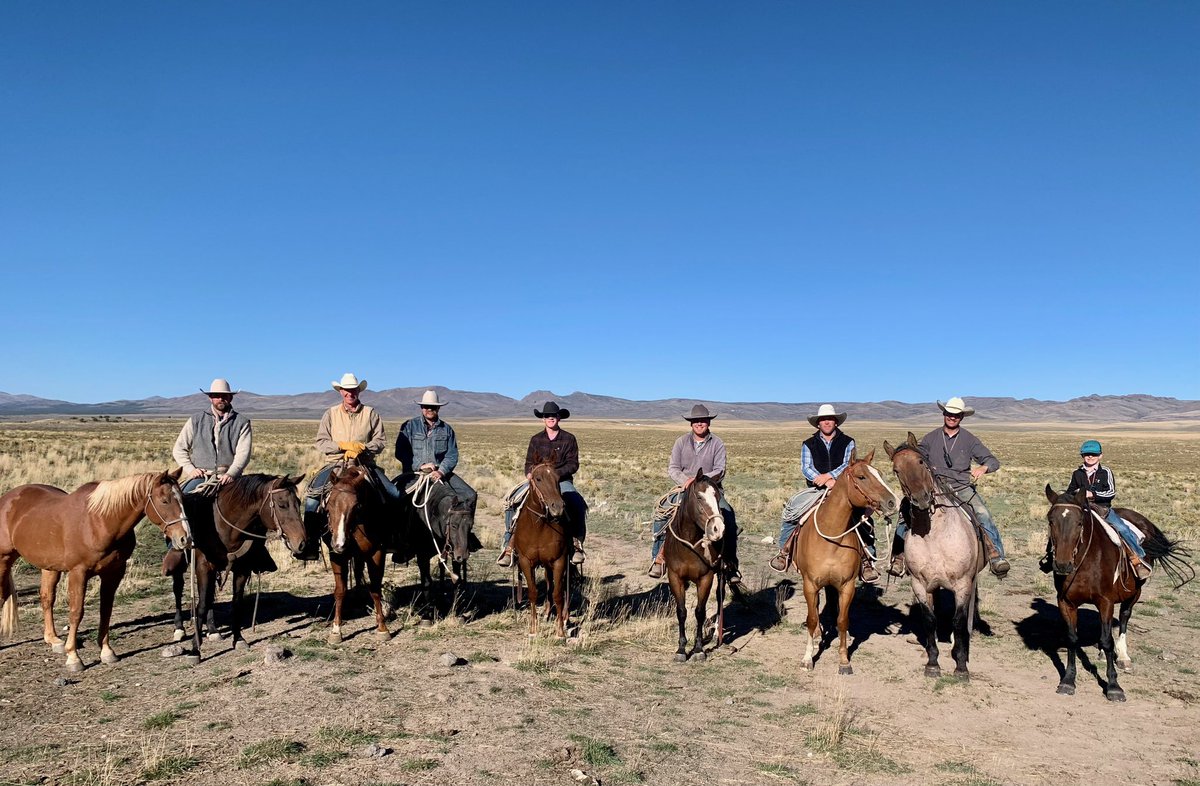 The crew and I are out riding the range this weekend at the Old Winecup! We’re starting the harvest season with our annual roundup of the cows.