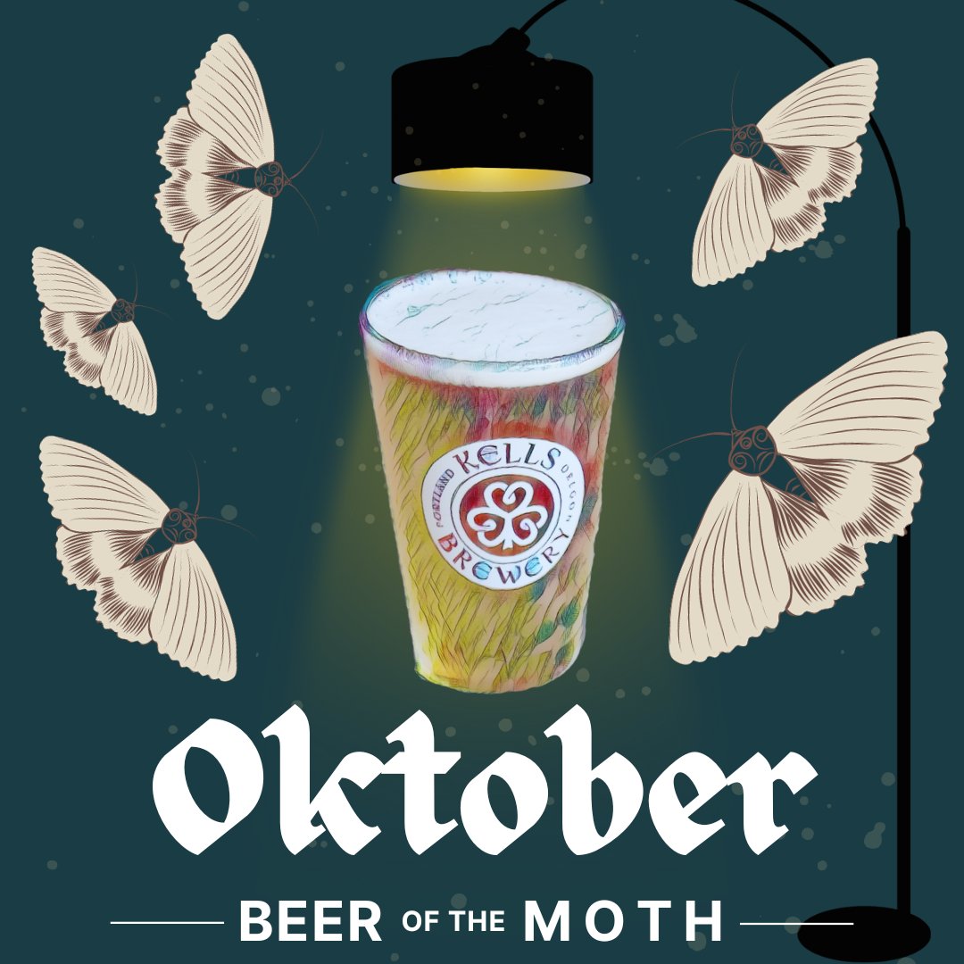 _moochogusto's tweet image. When you make a typo and then get carried away because you spend too much time looking at memes...

** heavy breathing intensifies **

#digitalmarketing #technology #creativity #socialnetworking #personaldevelopment #education