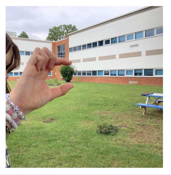 BusEdFun4U's tweet image. The WMS Yearbook Students worked together to create Forced Perspective Photographs to expand and enhance their photography skills! 📸 #WnEverything @BoykinBryan @Ashley83859234 @HokieAEK @WMS_WolfPack @wmspta_wolves @WilliamsburgCSD