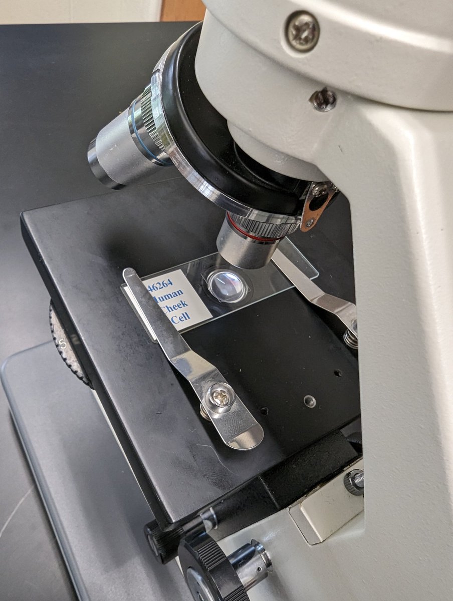 Michael Stagg tweet media