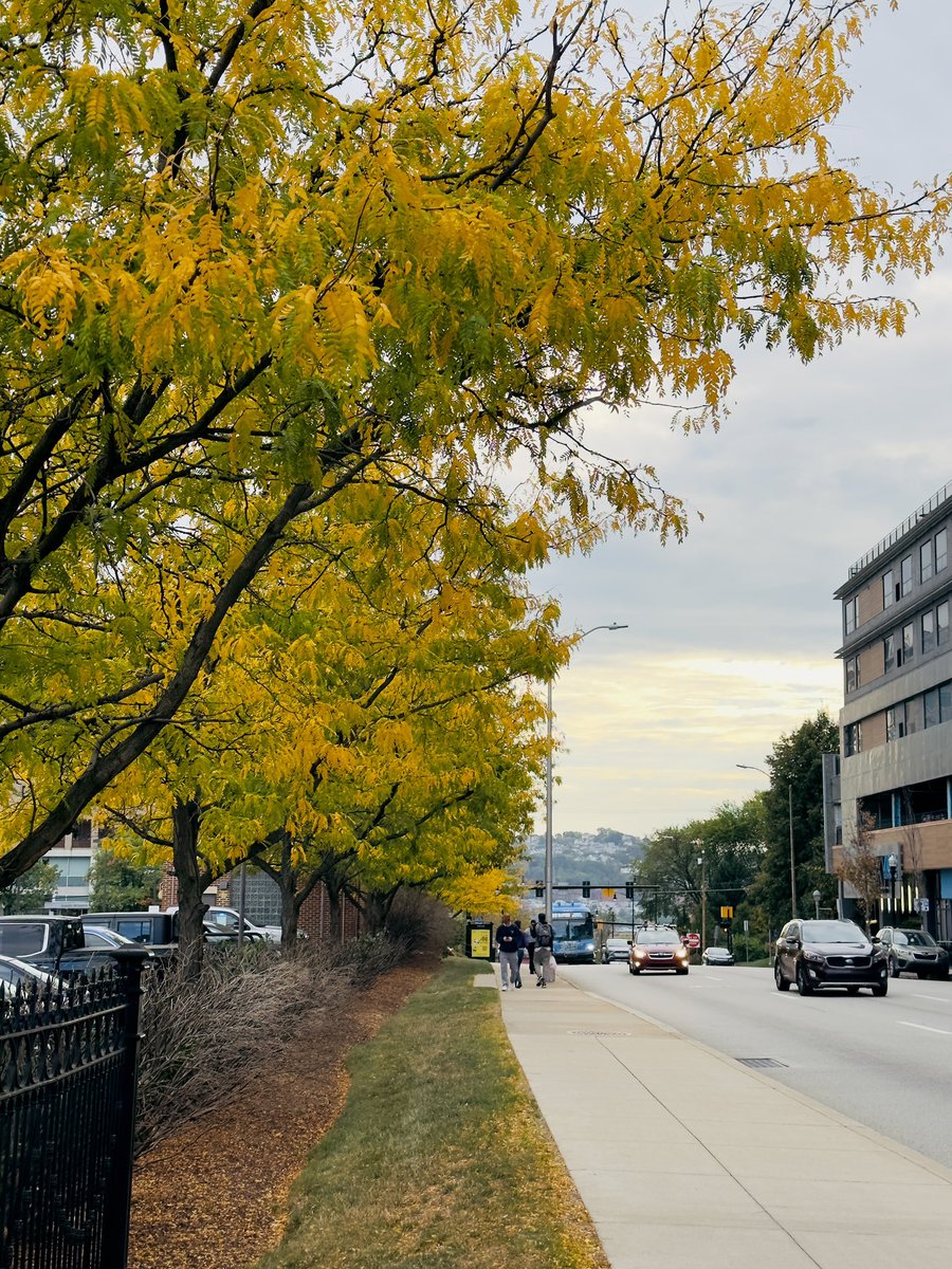 🍁🍂 Highly enjoyed my first trip ever to #Pittsburgh for the #ILCSymposium. Leaves were already changing, while it’s still 98 degrees in Dallas! Hope to make it to Belgium next year for this extra special conference. Still made it home in time for #sukkot! 🍋