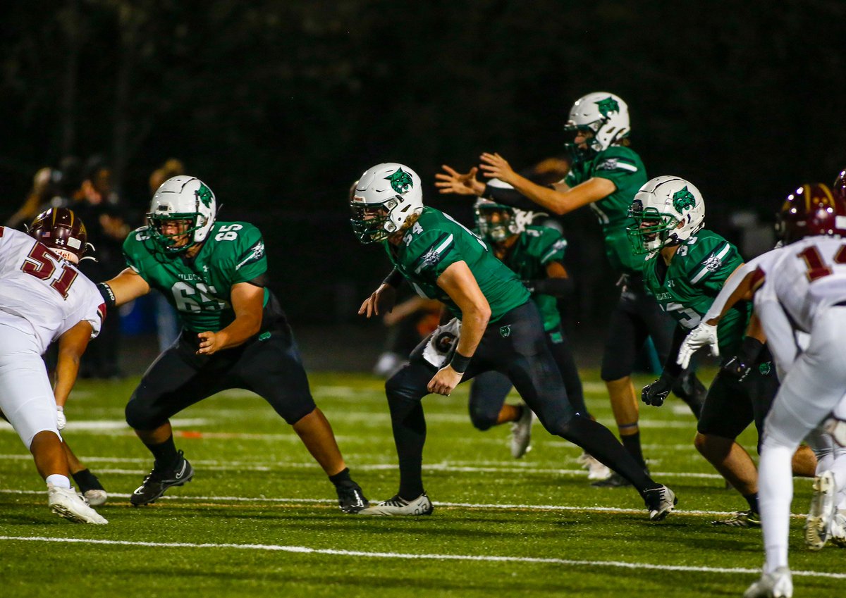 Mamma Bear of 6 tweet media