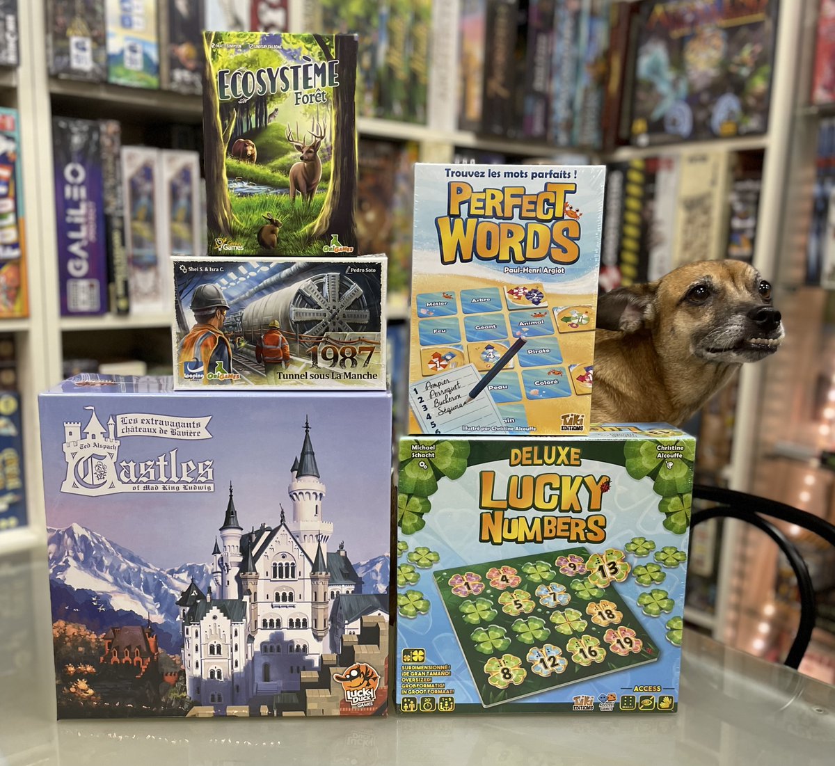 LaPerleRareAix's tweet photo. Arrivage Neoludis avec Castles of  Mad King Ludwig, Ecosystème Forêt, Perfect Words et Lucky Numbers version Deluxe
#jeuxdesociété #j2s #ludicaire #aixenprovence #laperlerare #aixmaville #jeuxdeplateaux #castlesofmadkingludwig #perfectwords #ecosystemeforet #luckynumbers https://t.co/nMyupYofwO