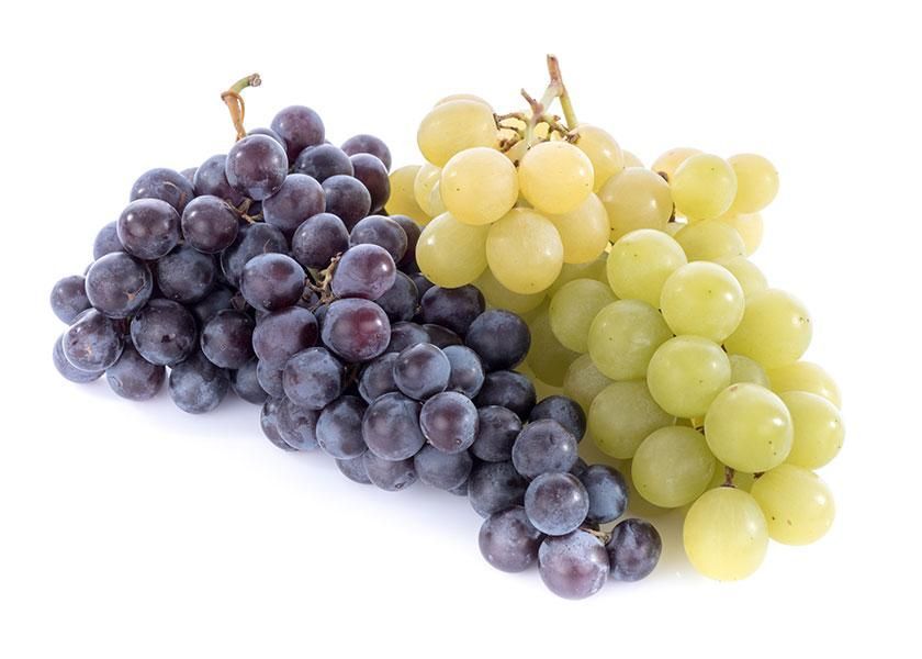 witzshared's tweet image. California #dominates the U.S. fall grape #supply buff.ly/46pLxDL