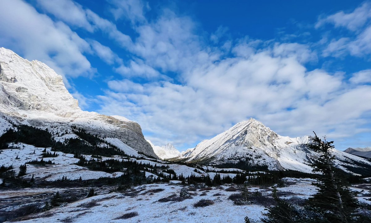 Tony Weeks, MBA, ICD.D tweet media