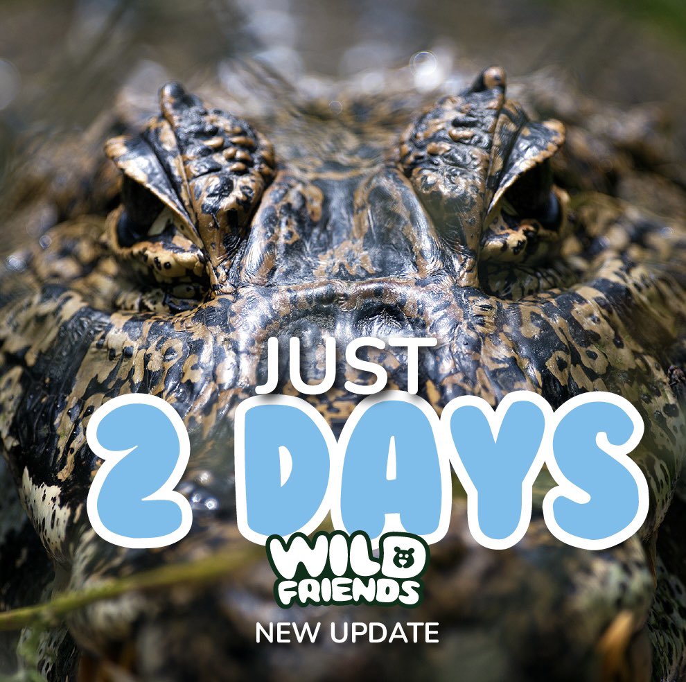 wildfriendsgame's tweet photo. Just two days!! Are you ready for #WildFriendsGame update?
Join to our X Space this Sunday and let’s discover this world together 🌿🐊
#wildfriends https://t.co/Wqd9wA6uBE