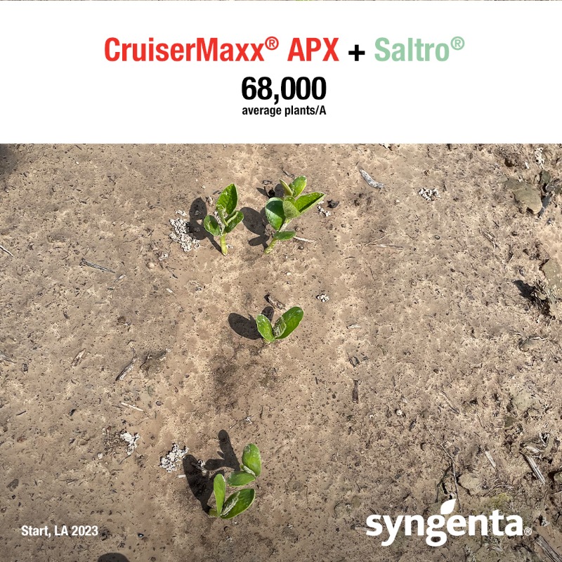 SyngentaUS's tweet photo. The first step to getting the most yield out of every seedling on every acre. Choose CruiserMaxx APX and Saltro soybean seed treatments to help start the 2024 season strong.