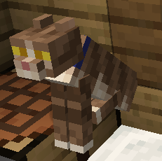 Aliensect_ tweet media