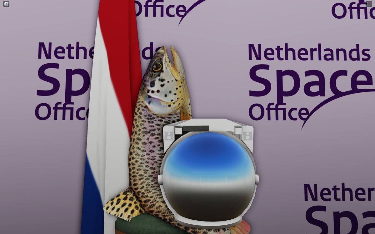 Codswallop Family Fishing tweet media