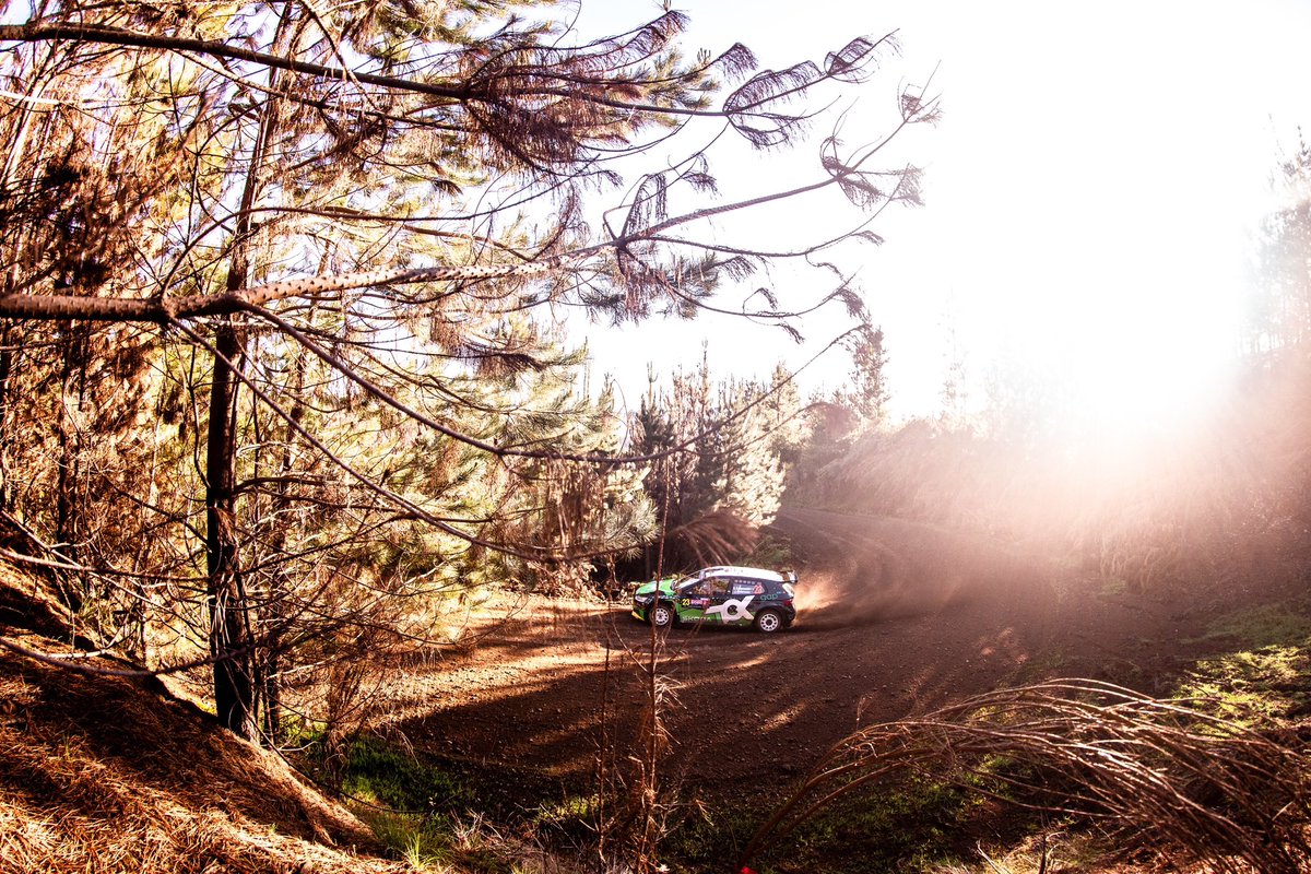 toksportwrt's tweet photo. 1๏ธโฃ2๏ธโฃ3๏ธโฃ4๏ธโฃ in WRC2 after Friday at #RallyChile ๐จ๐ฑ
#ToksportWRT #SkodaFabiaRSRally2 #SkodaMotorsport #EvolutionOfSuccess #WRC https://t.co/2DKoLoQHK7