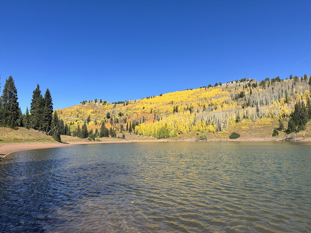 wlhutes's tweet photo. I love fall in Utah https://t.co/n1vTPrPRtJ