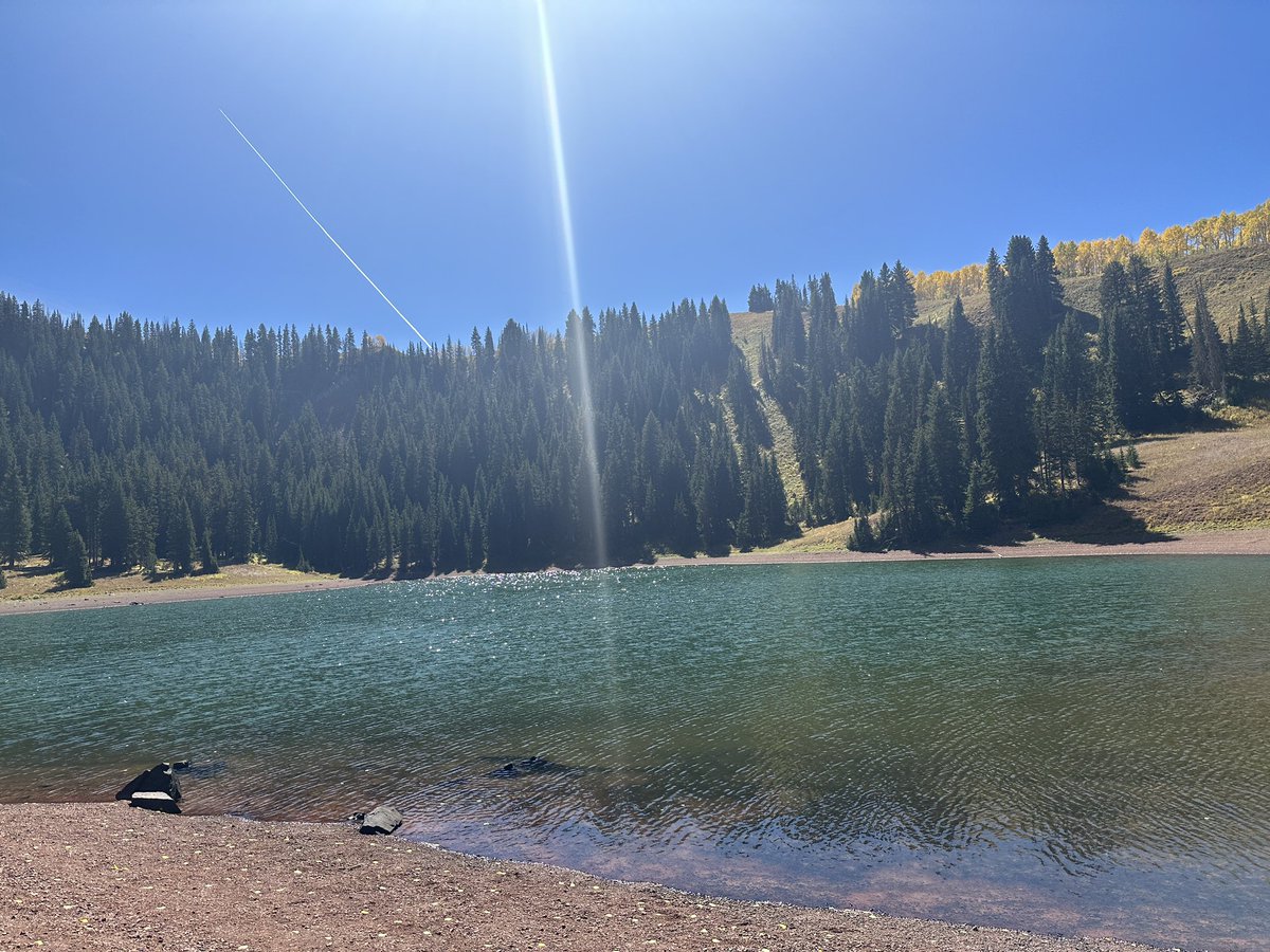 wlhutes's tweet photo. I love fall in Utah https://t.co/n1vTPrPRtJ