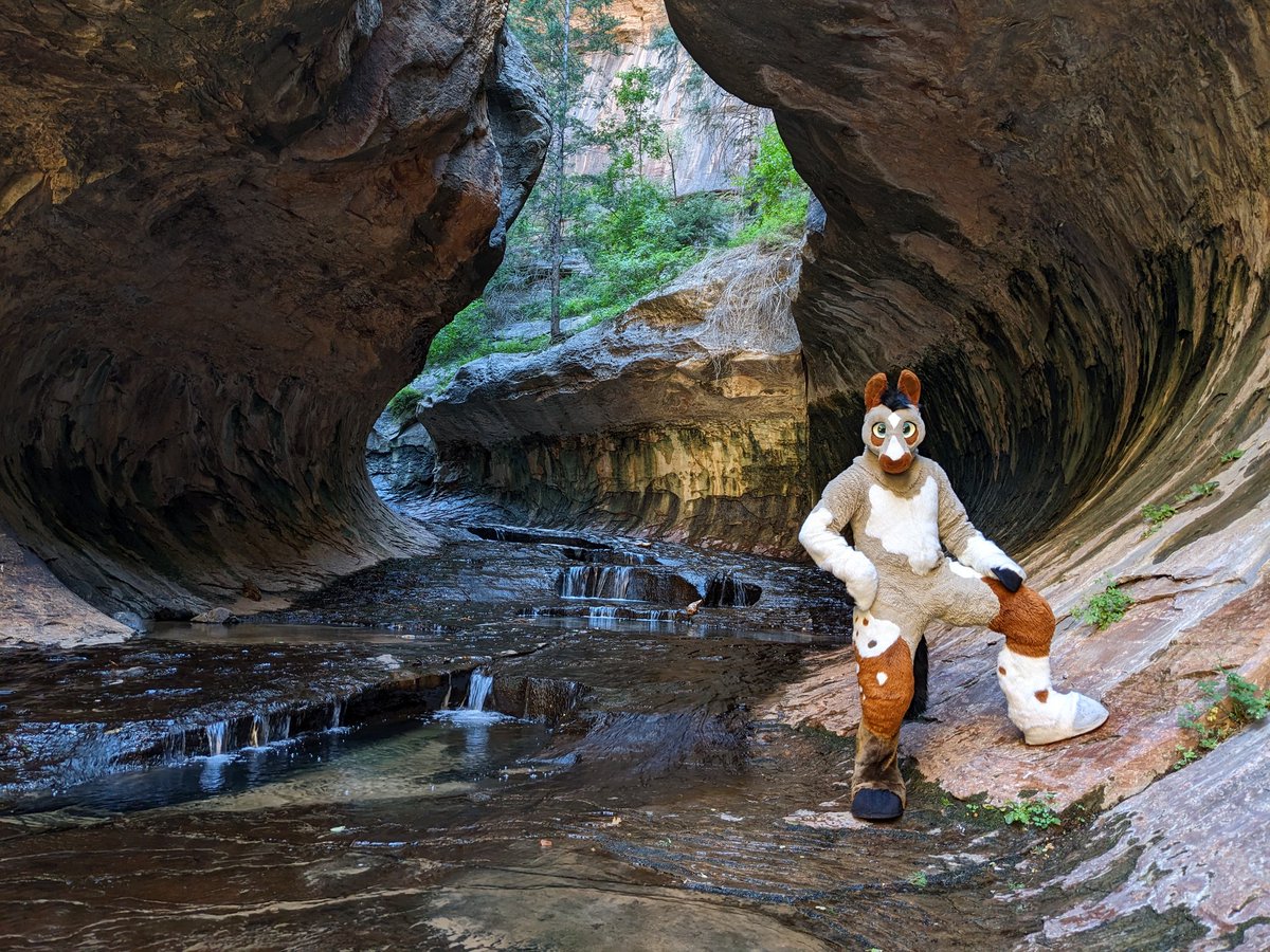 The service frequency leaves much to be desired, but the @ZionNPS subway sure is pretty 😘 #FursuitFriday