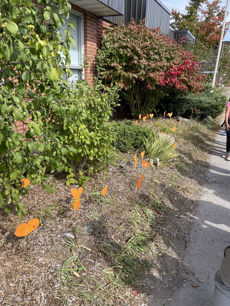 Deann Moase tweet media