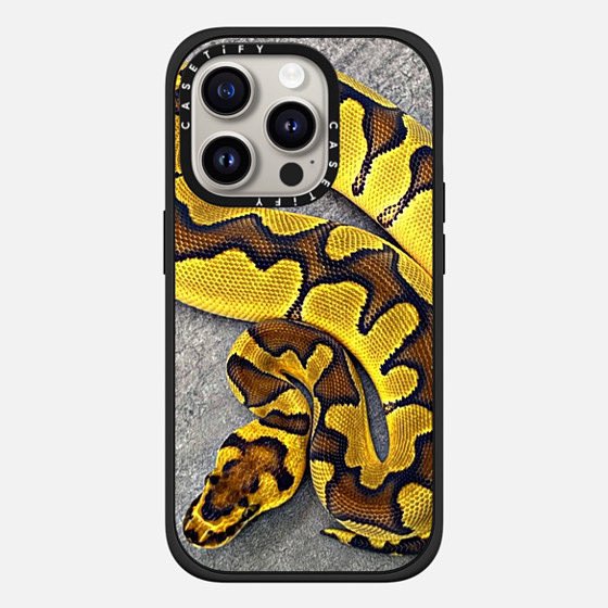 ballpython0822's tweet image. ええやん👍🏽