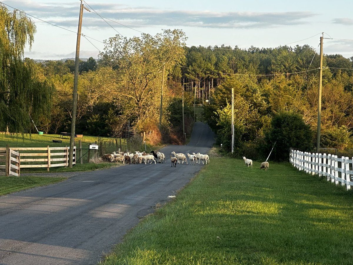 The_AuthorJAD's tweet image. #CountryProblems