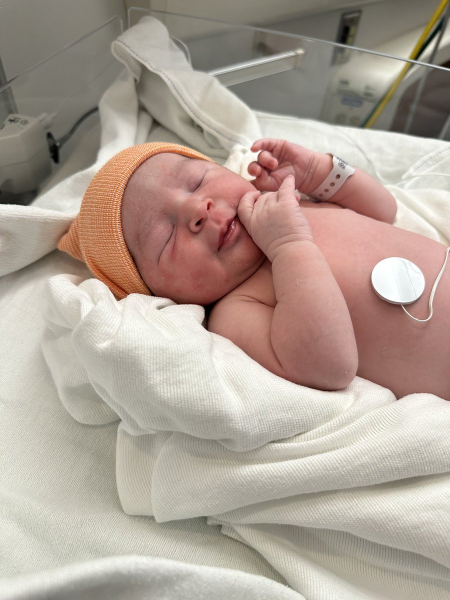 PixelGhosty88's tweet photo. Lydia Skullflower is here 👸🏻💀🌸🎃🖤

Born 8lbs, 1 ounce. Healthy with no issues. She’s a happy little baby &amp; we’re so happy she’s finally with us. I love her so much 🥹 I cried so much seeing her for the first time 😭 https://t.co/1jPvWnxUv8